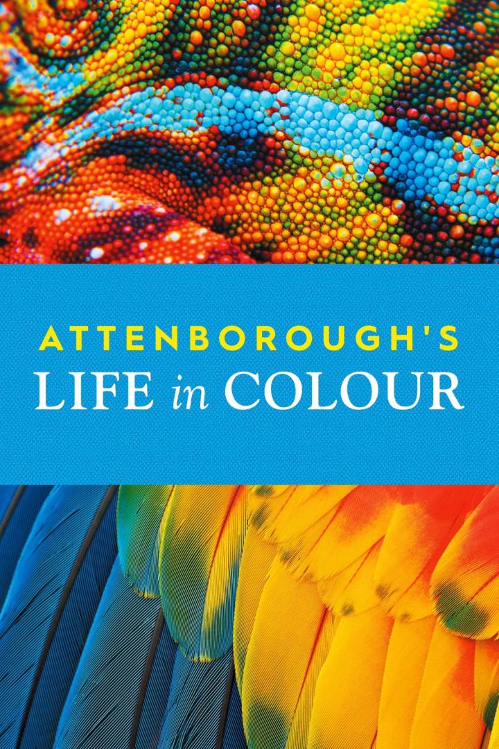 Das Cover von „Attenborough's Life in Colour“ zeigt Chamäleonhaut und Vogelfedern.