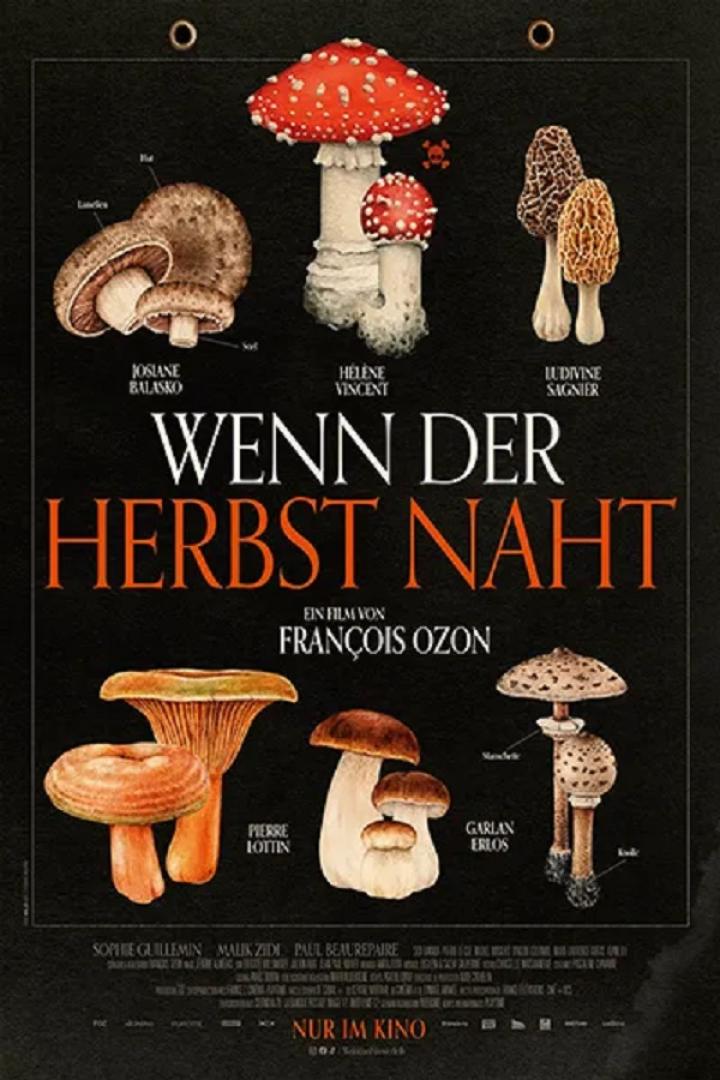wenn-herbst-nacht-plakat.jpg
