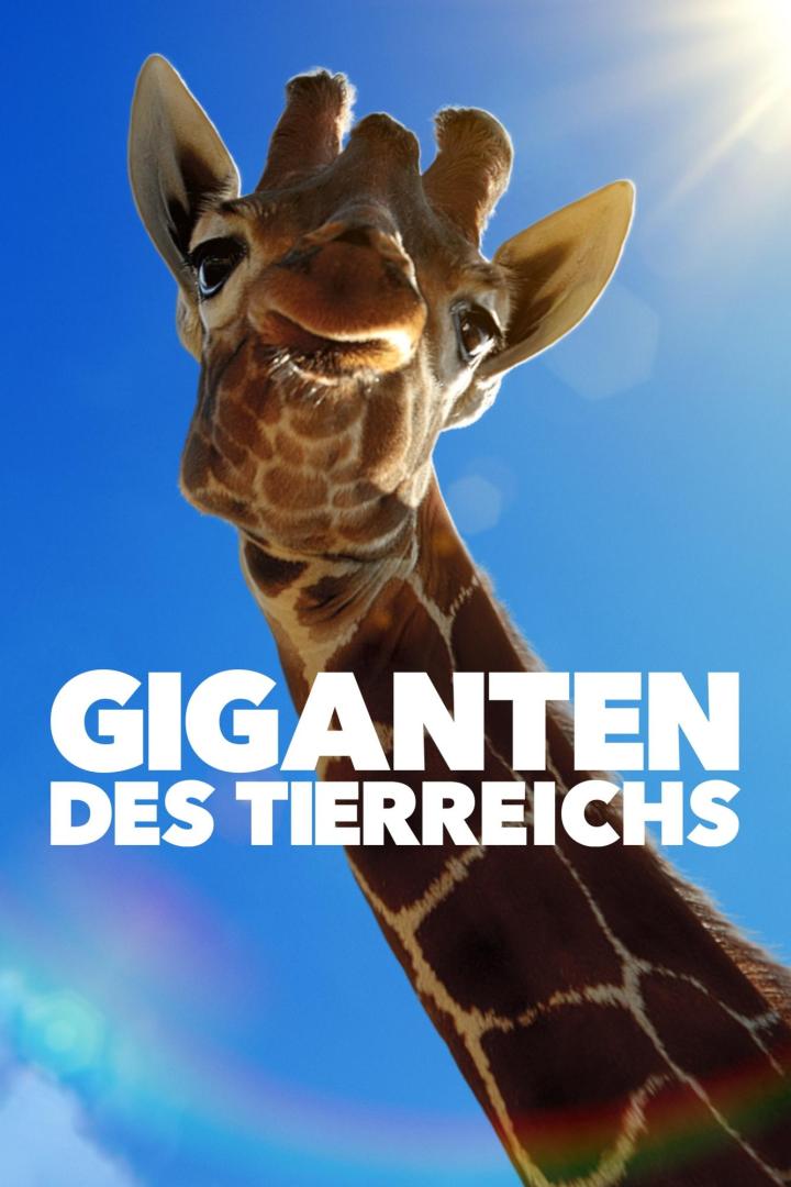 Eine Giraffe vor blauem Himmel, im Vordergrund der Titel „Giganten des Tierreichs“.