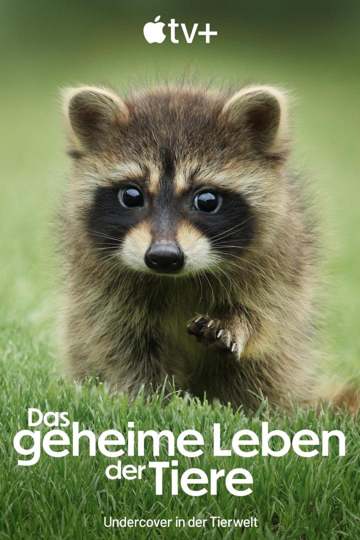 Ein Waschbär steht im Gras, im Hintergrund das Logo von Apple TV+ und der Titel „Das geheime Leben der Tiere“.