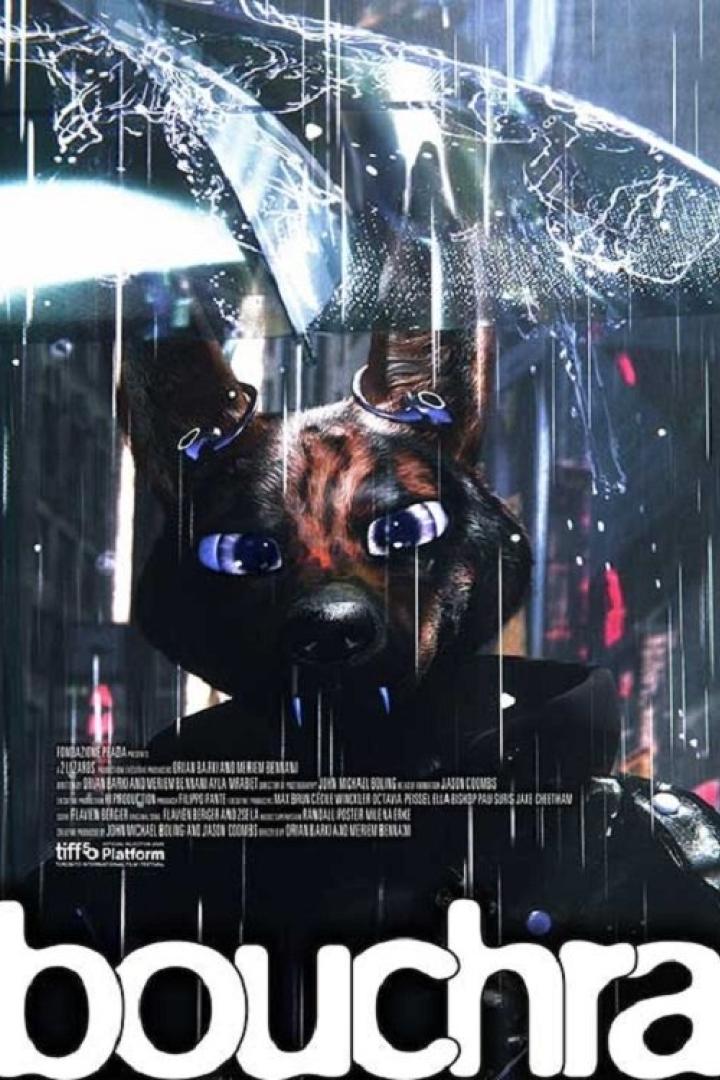 Das Filmplakat für „Bouchra“ zeigt eine anthropomorphe Hundeähnliche Kreatur im Regen.