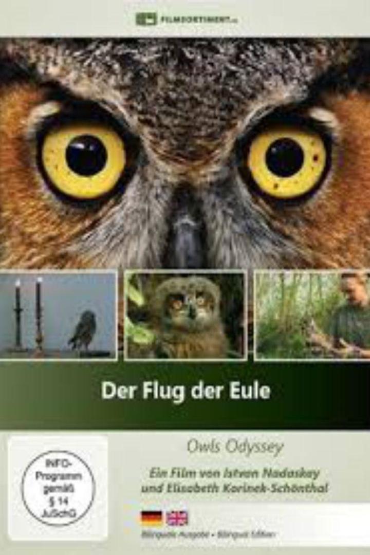 Das Cover des Films „Der Flug der Eule“ zeigt eine Nahaufnahme der Augen einer Eule.