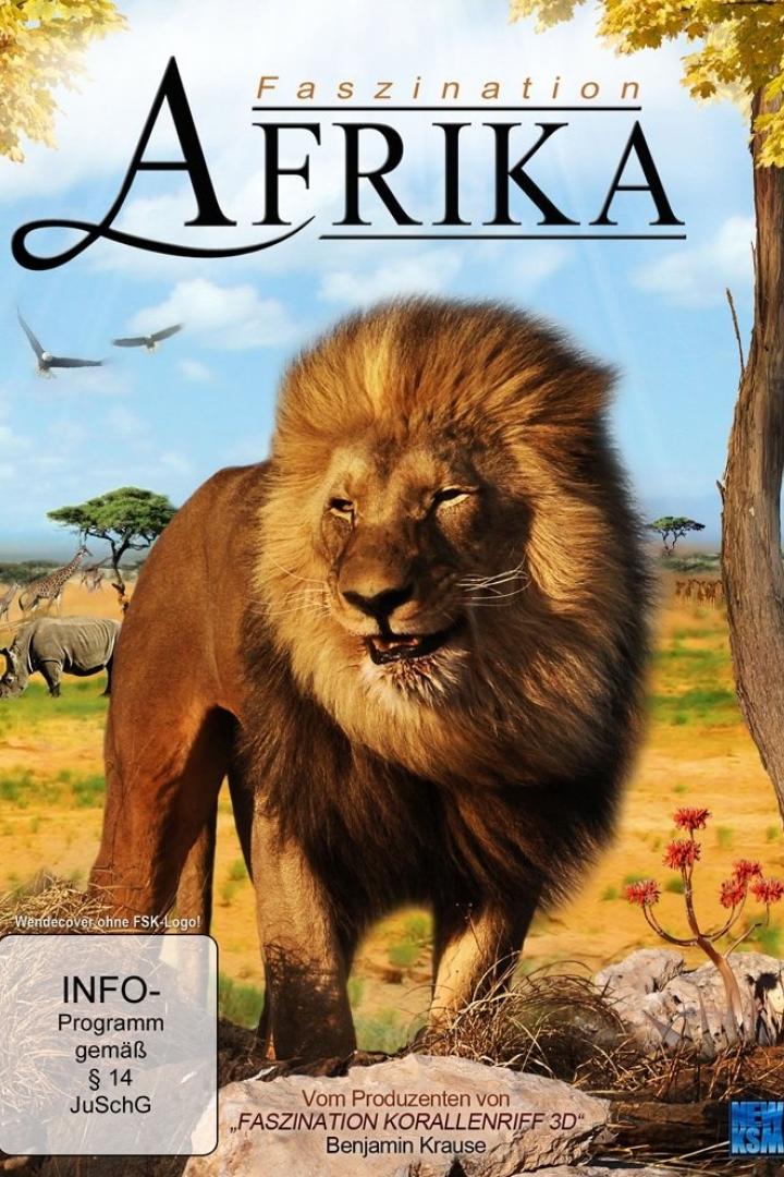 Das Cover der Dokumentation „Faszination Afrika“ zeigt einen Löwen in der afrikanischen Savanne.
