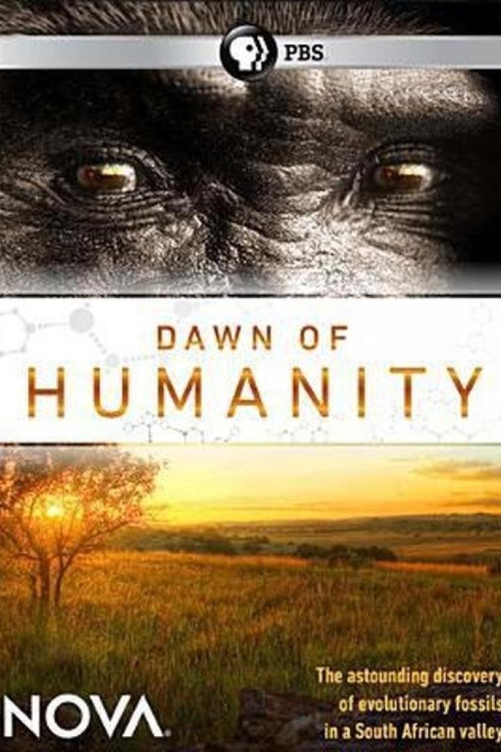 Das Cover der NOVA-Dokumentation „Dawn of Humanity“ zeigt Augen und eine afrikanische Savanne.