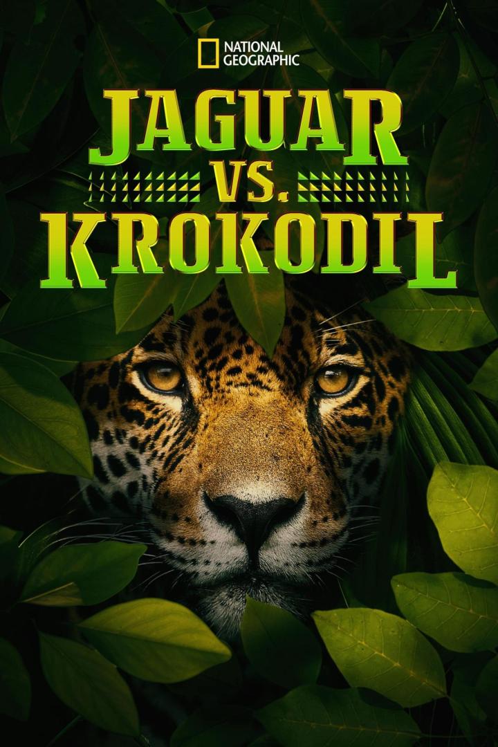 Das National Geographic-Cover zeigt einen Jaguar vor dem Schriftzug „Jaguar vs. Krokodil“.
