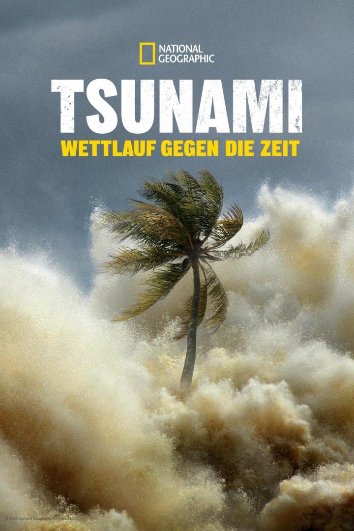 Eine Palme wird von einer Tsunami-Welle überspült.