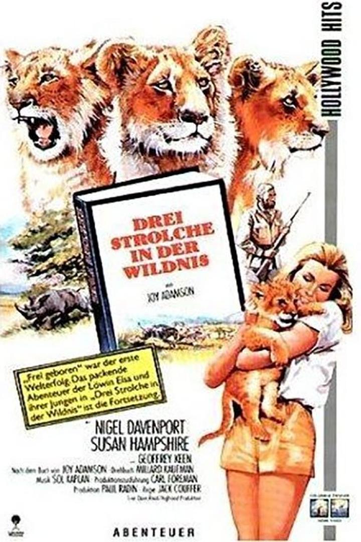 Das Filmplakat zu „Drei Strolche in der Wildnis“ zeigt Löwen, eine Frau mit einem Löwenjungen und einen Mann mit einem Gewehr.