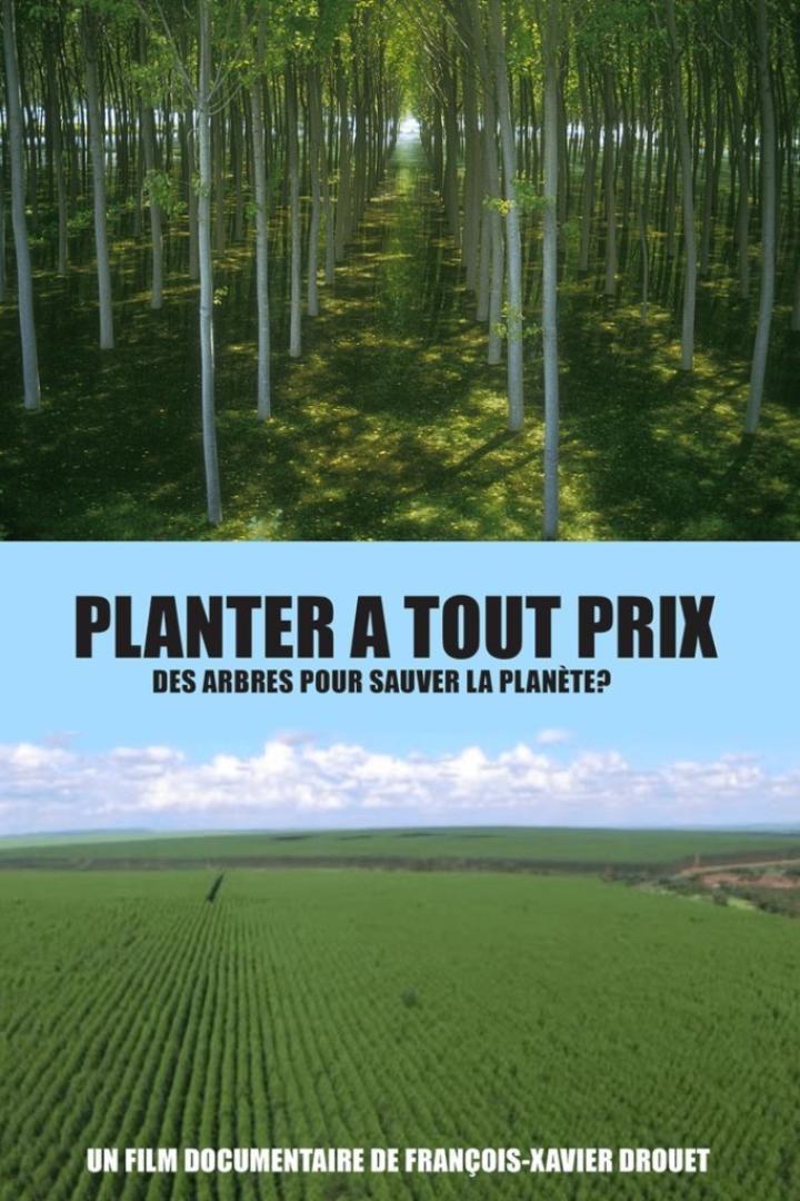 Planter à tout prix - Des arbres pour sauver la planète ?