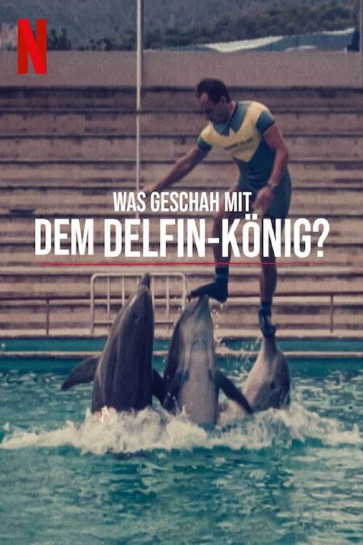 ¿Qué le pasó al rey de los delfines?