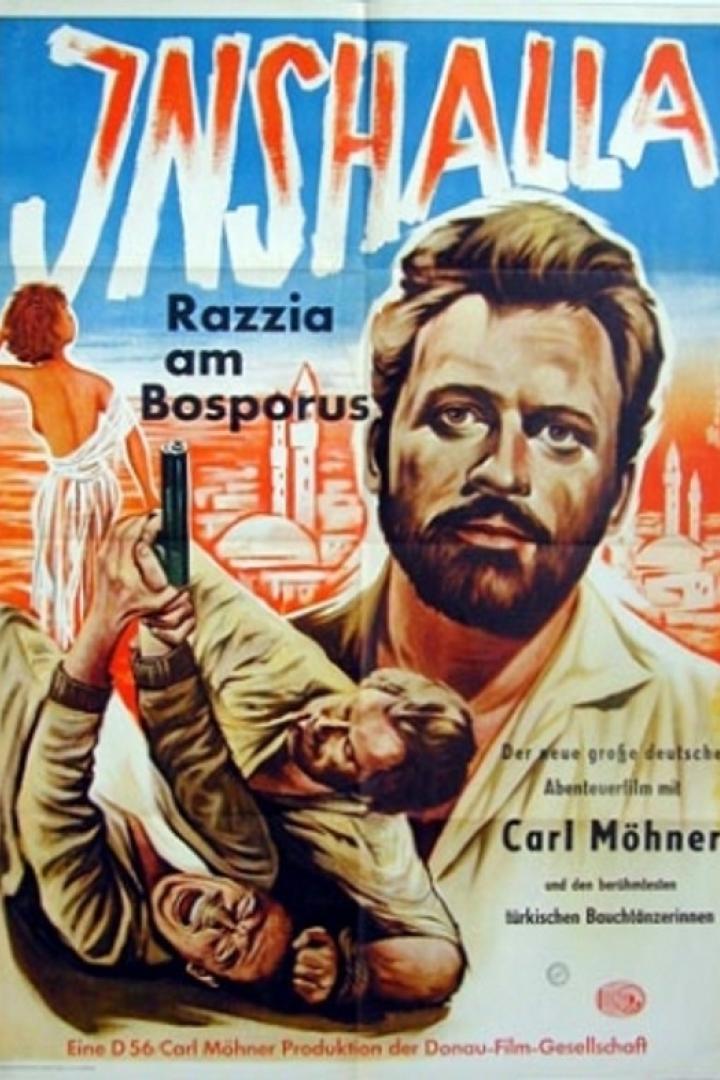 Inshalla - Razzia am Bosporus