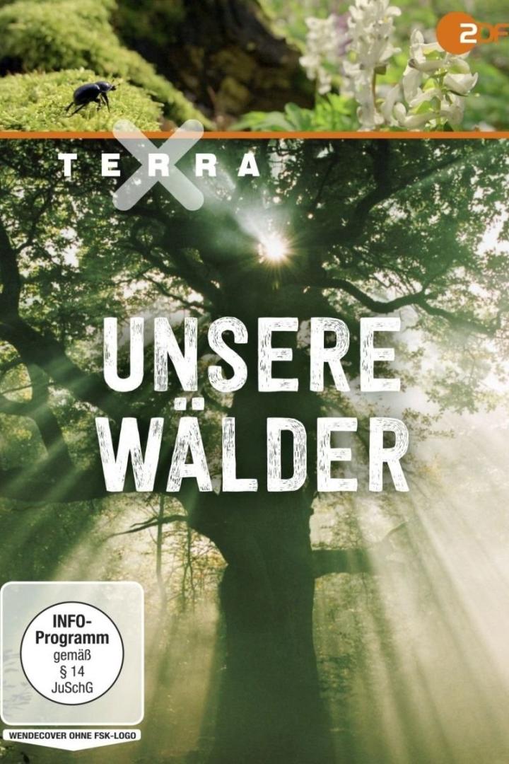 Terra X - Unsere Wälder