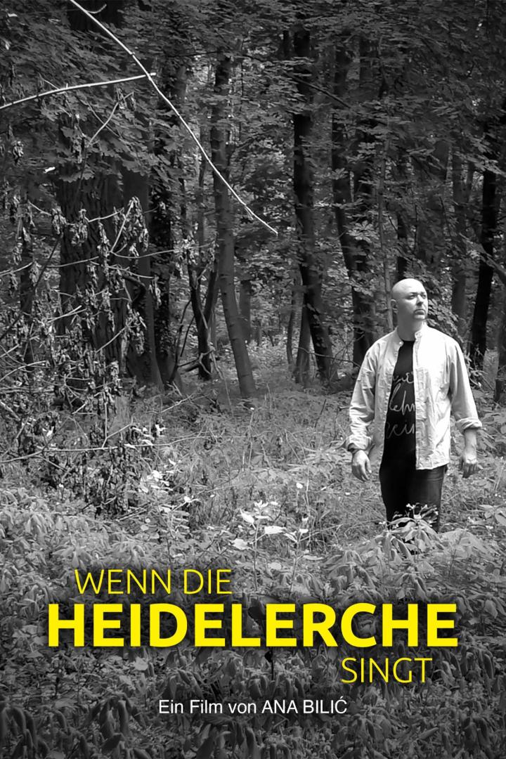 Wenn die Heidelerche singt