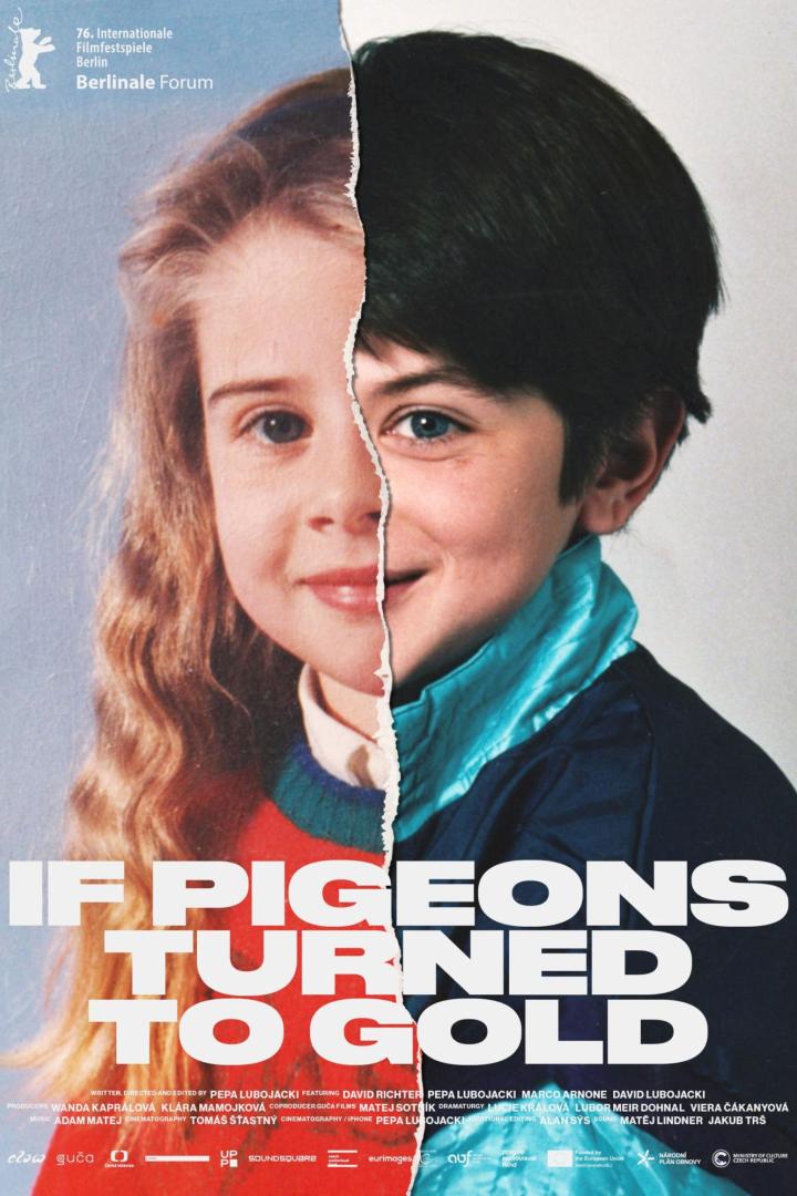 If Pigeons Turned to Gold