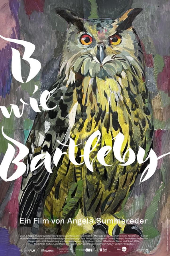 Gezeichnete Eule auf Filmplakat
