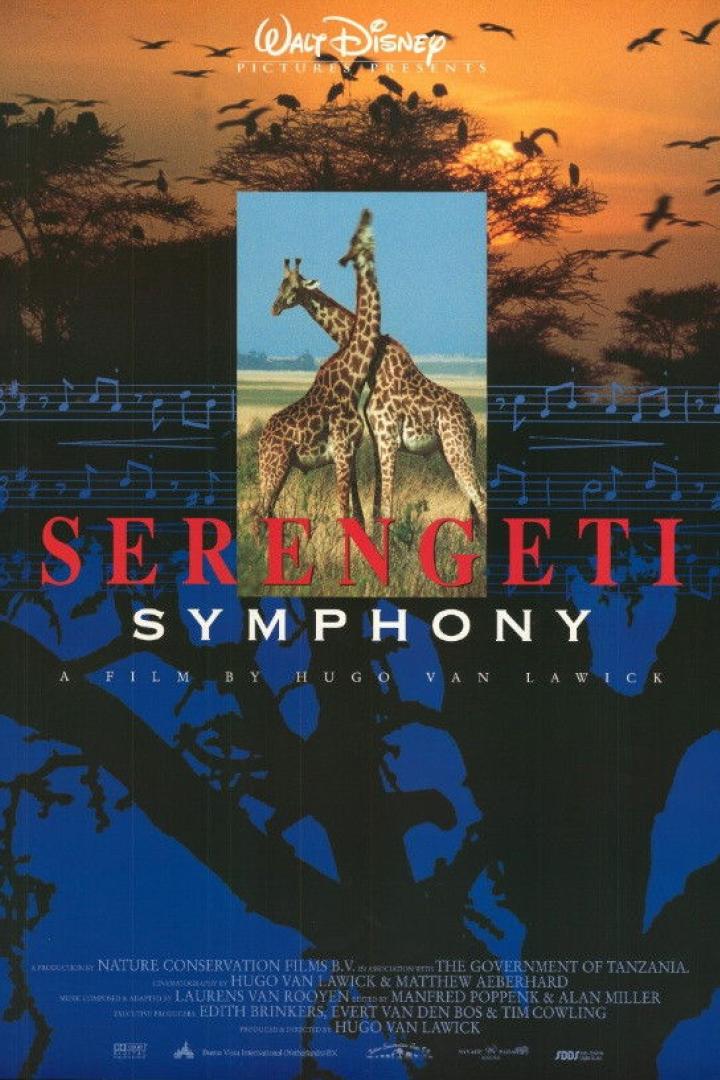 Serengeti Symphony