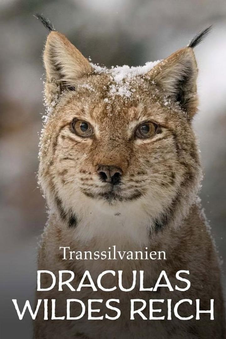 Transylvanie, un bestiaire fantastique