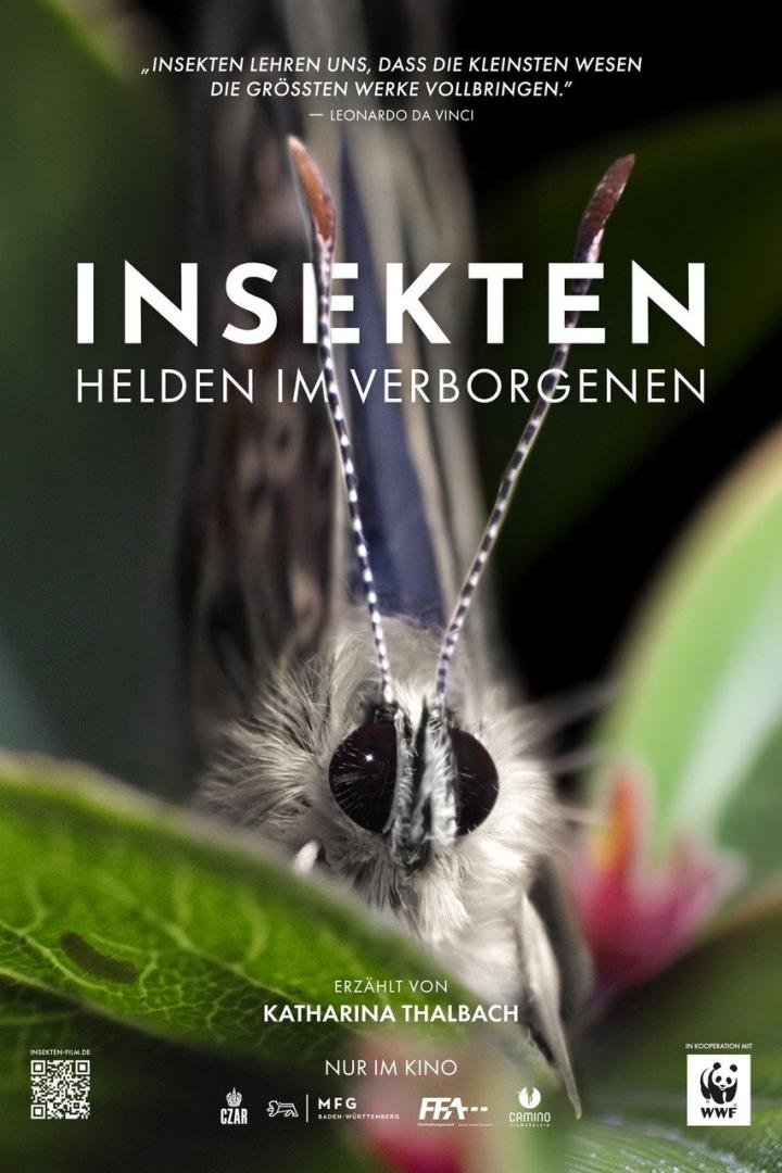 Hildegard Burjan - ein Leben für die Menschlichkeit