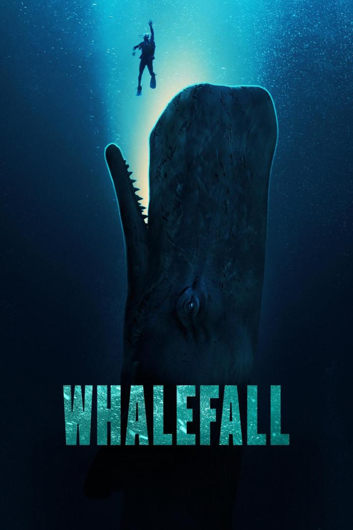 Ein Taucher schwimmt im tiefblauen Wasser über einem riesigen Pottwal, unter dem der Schriftzug „WHALEFALL“ zu sehen ist.