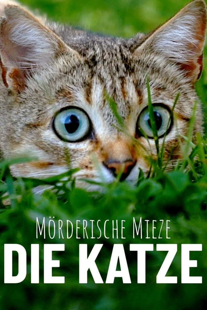Le Chat, ce tueur si mignon