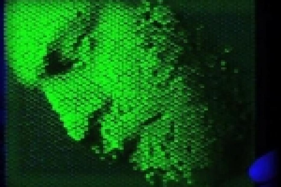 Eine abstrakte Darstellung in Grüntönen mit einem wabenartigen Muster.