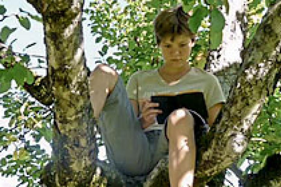 Ein Kind sitzt in einem Baum und liest ein Buch.