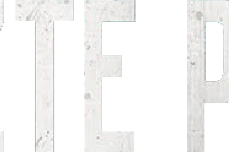 Der Schriftzug „Der letzte Partisan“ in großen, weißen Buchstaben auf schwarzem Grund.