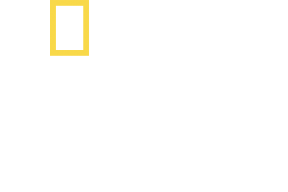 Das National Geographic Logo für „Sugarcane: Der Wahrheit auf der Spur“.