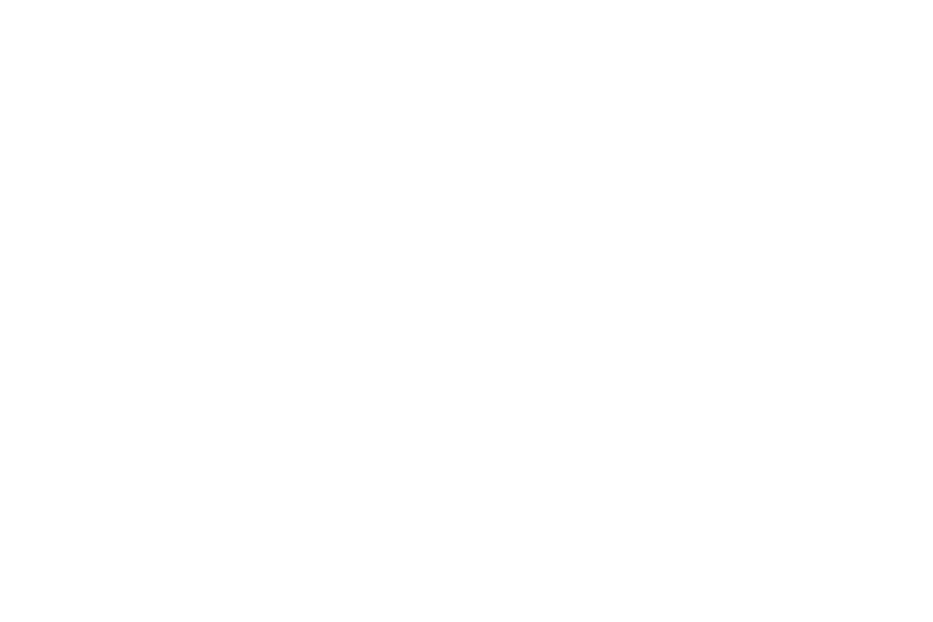 Das Bild ist komplett weiß.