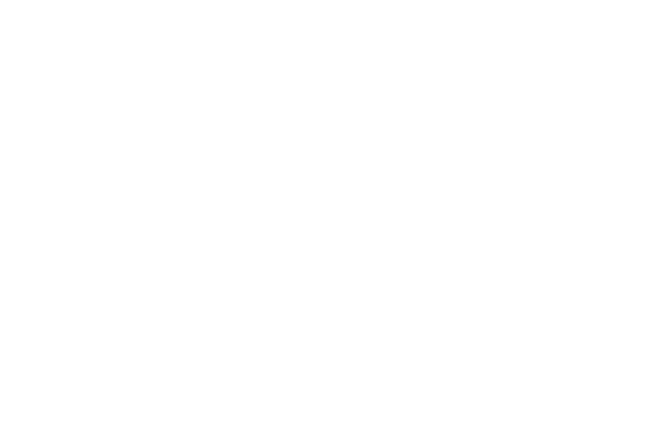 Das Bild ist komplett weiß.