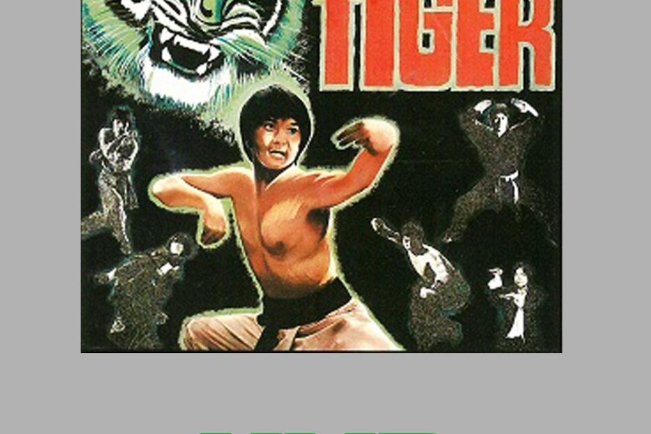 Das VHS-Cover des Films „Duell der 7 Tiger“ zeigt einen Kämpfer und einen Tiger.