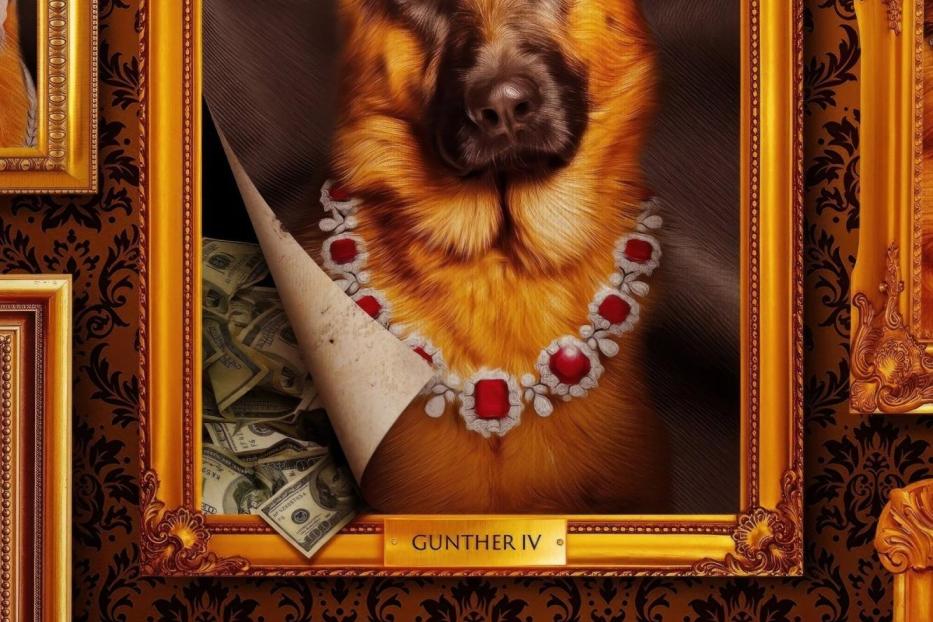 Ein Porträt von Günther IV., einem Deutschen Schäferhund mit einer Halskette, hinter der sich Geldscheine verbergen.