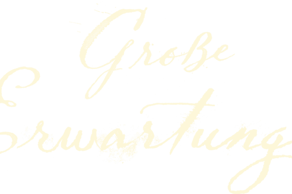 Der Titel „Große Erwartungen“ in geschwungener Schrift auf schwarzem Hintergrund.