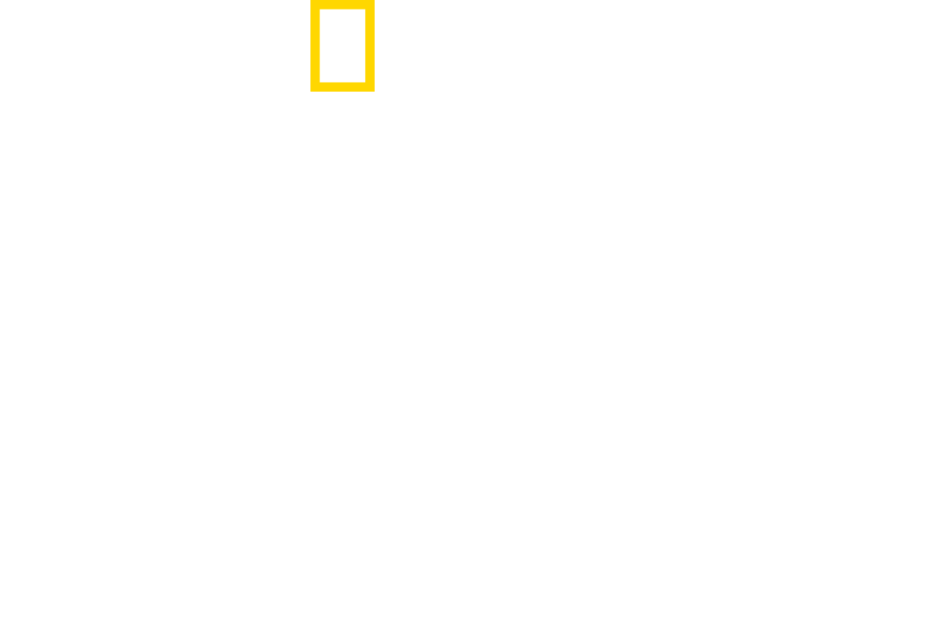 Das National Geographic Logo über dem Titel „Regelwerk der Diktatoren“.