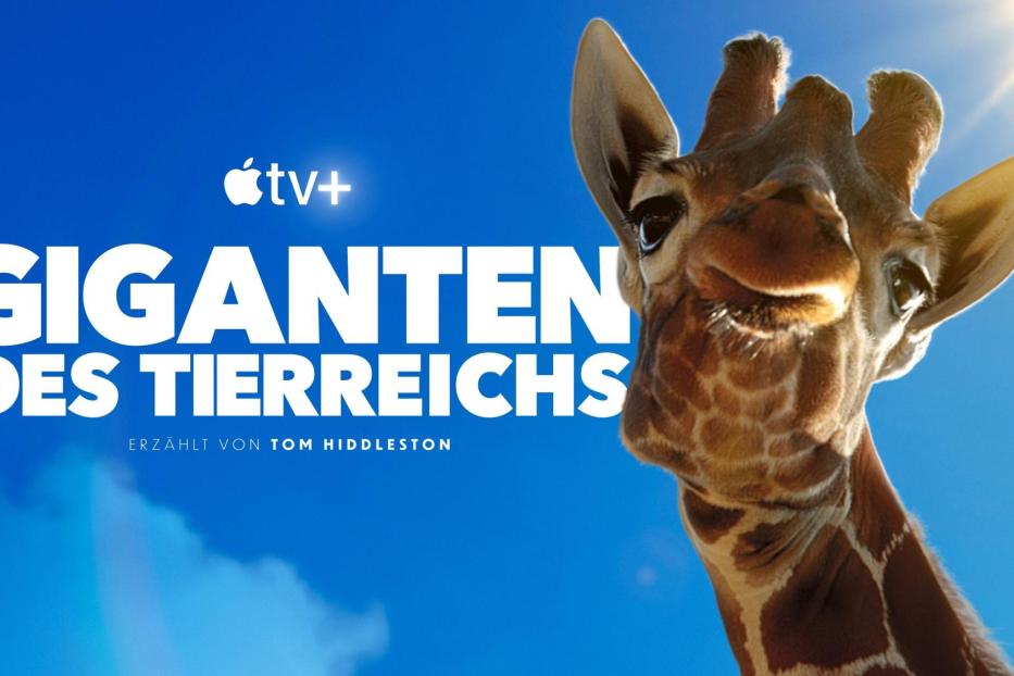 Das Poster für die Apple TV+ Dokumentation „Giganten des Tierreichs“ mit einer Giraffe im Vordergrund.