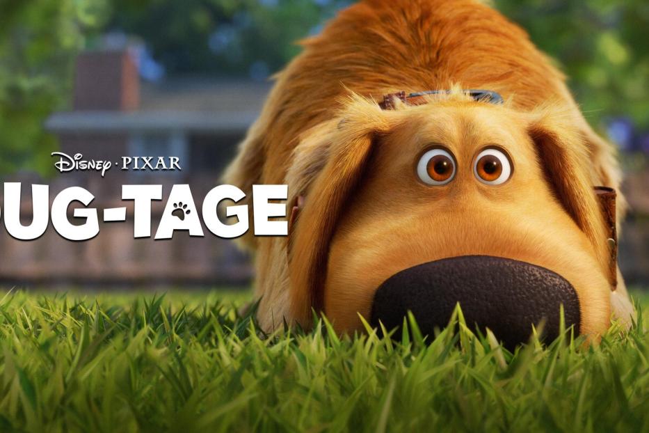 Der animierte Hund Dug liegt im Gras.