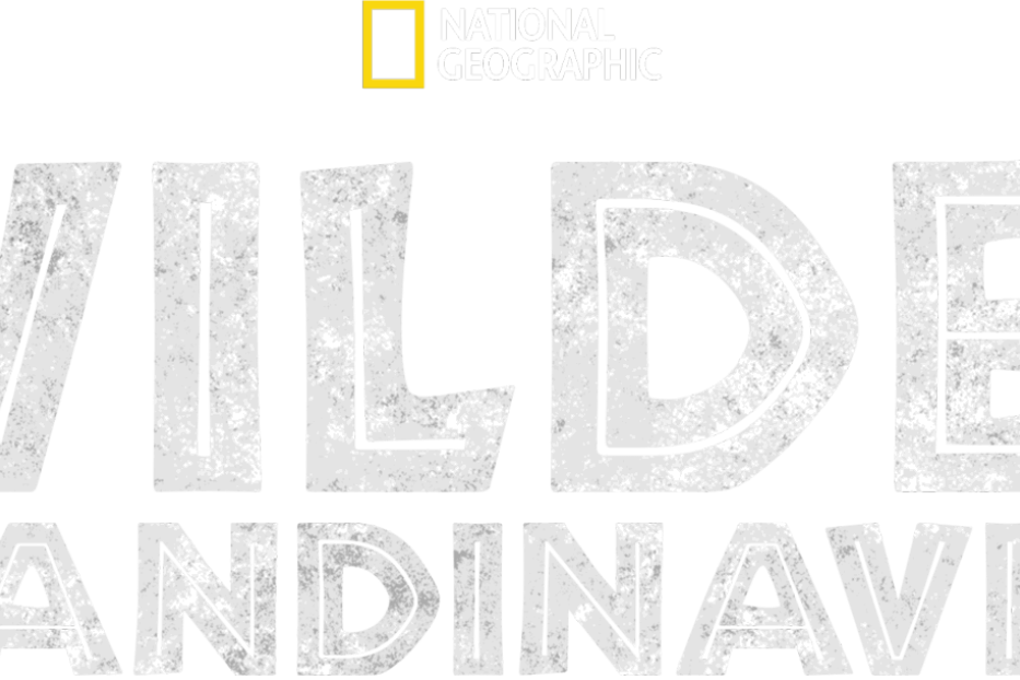Logo der National Geographic-Dokumentation „Wildes Skandinavien“.