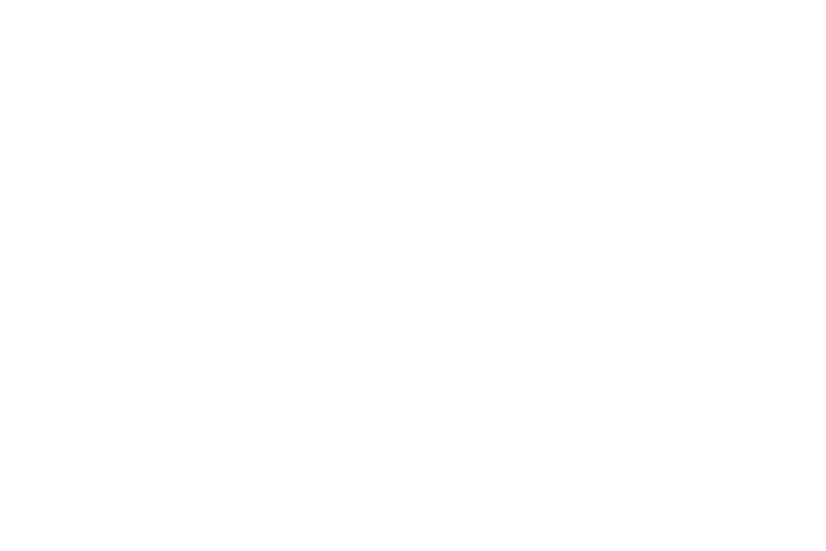 Logo für „Schiffswrack-Jäger Australien“.
