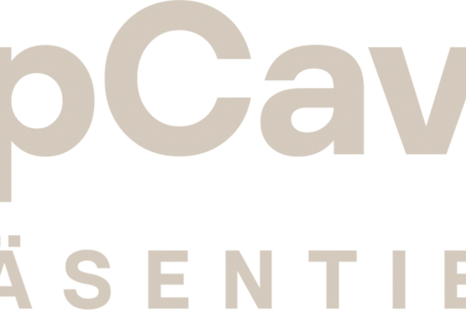 Das Logo von RapCaviar präsentiert sich in hellen Buchstaben auf schwarzem Grund.