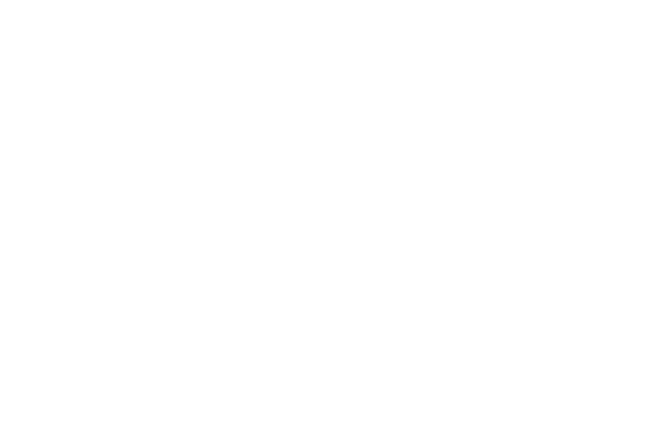 Das Logo von „Phönix Eden 17“ in weißer Schrift auf schwarzem Hintergrund.