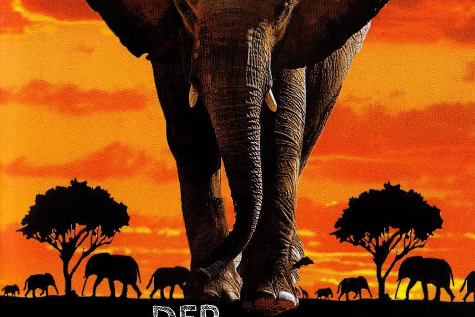 Filmplakat für „Der Elefantenjunge“ mit einem Elefanten und dem Gesicht eines Mannes vor einem orangefarbenen Himmel.