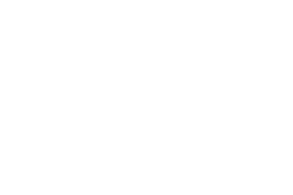 Das Logo des Buches „Der große Betrug“.