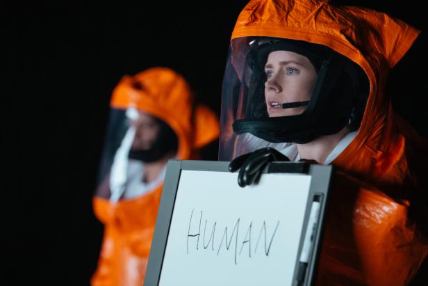 arrival-1.jpg