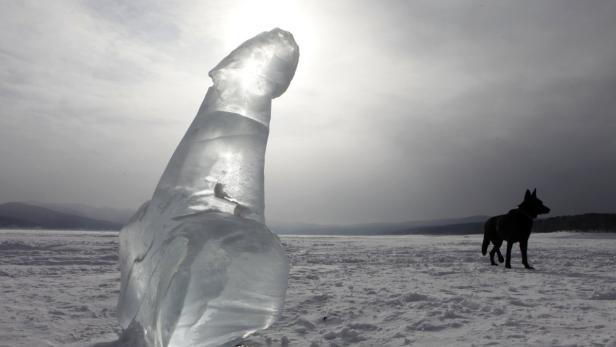 REUTERSA dog stands near an ice sculpture displaying a penis on the frozen Yenisei River, about 55 km (34 miles) south of Russias Siberian city of Krasnoyarsk, February 27, 2011. An unknown author, supposedly a fisherman, created the sculpture, with an in