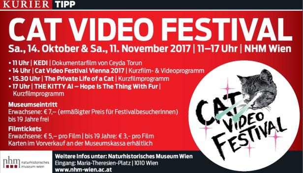 Cat Video Festival Vienna