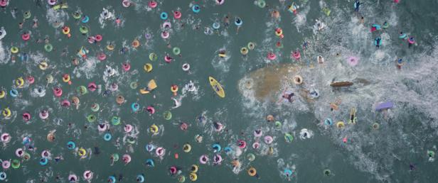 14 Hai-Schocker und Tierhorror-Filme, die besser sind als "The Meg"