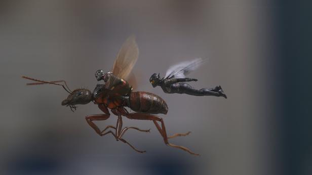 ant-man-wasp-5.jpg