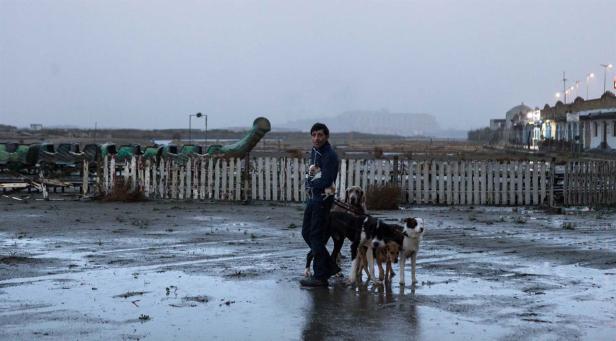 „Dogman“: Hundefriseur im Drogensumpf