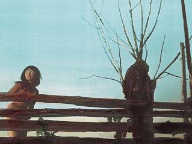 Eine junge Frau steht an einem Holzzaun neben einem Baumstumpf.