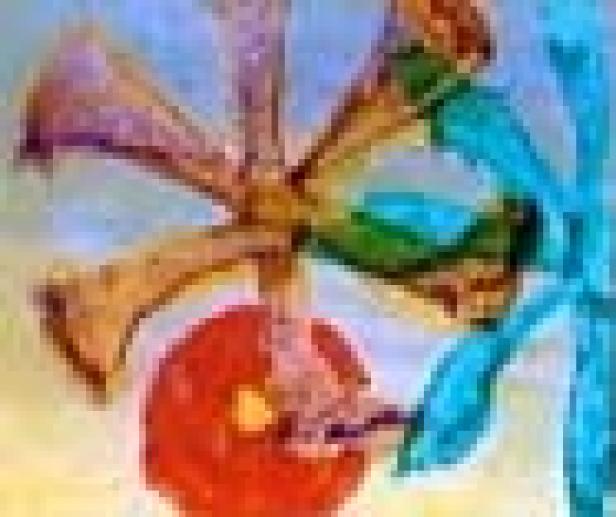 Mehrfarbige Blütenblätter bilden ein abstraktes Blumenmuster.