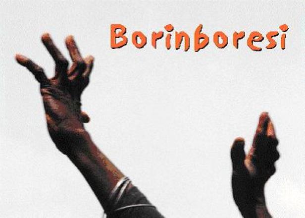 Zwei dunkle Hände sind vor einem hellen Hintergrund erhoben, darüber steht der Name „Borinboresi“.